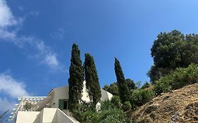 Casa Mimosa